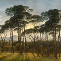 Mediterranean Pine Landscape, Original Mural Wallpaper - pure wallpaper artwork