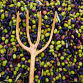 Picking Olives Mural Wallpaper - pure wallpaper artwork