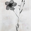 Wonderful Wildflowers XIV Neutral Mural Wallpaper - pure wallpaper artwork