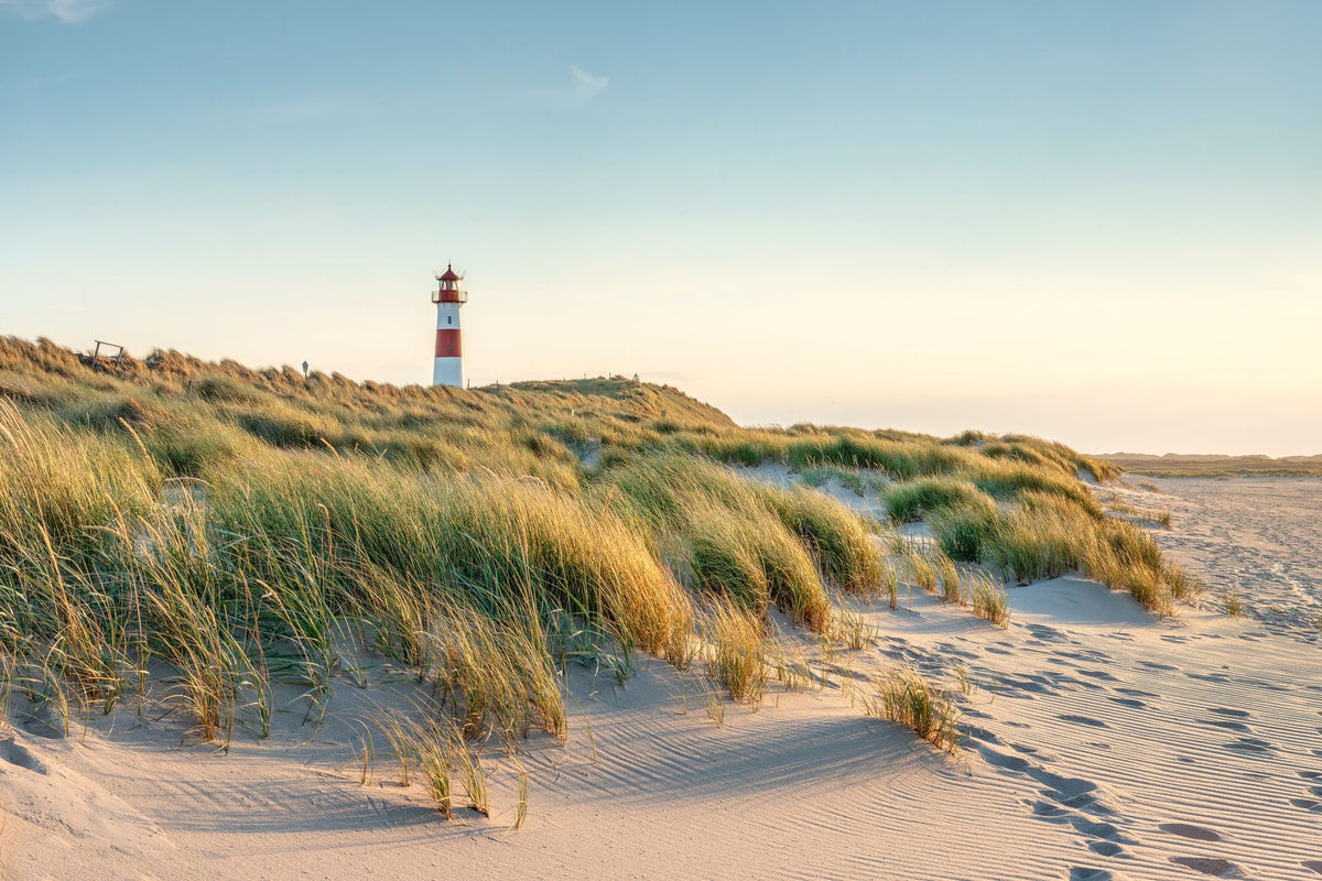Coastal Stroll Mural Wallpaper - pure wallpaper artwork