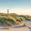 Coastal Stroll Mural Wallpaper - pure wallpaper artwork