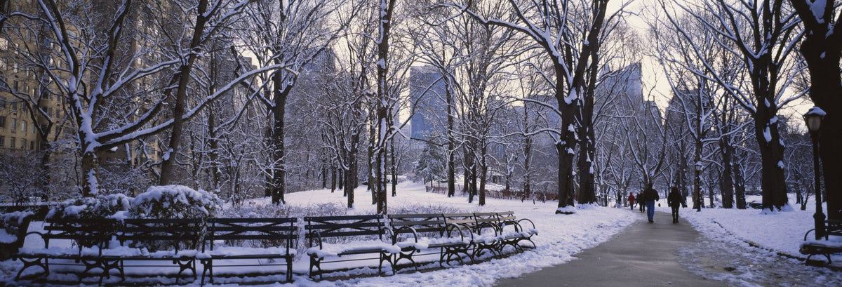 Winter Park Stroll Mural Wallpaper - pure wallpaper artwork