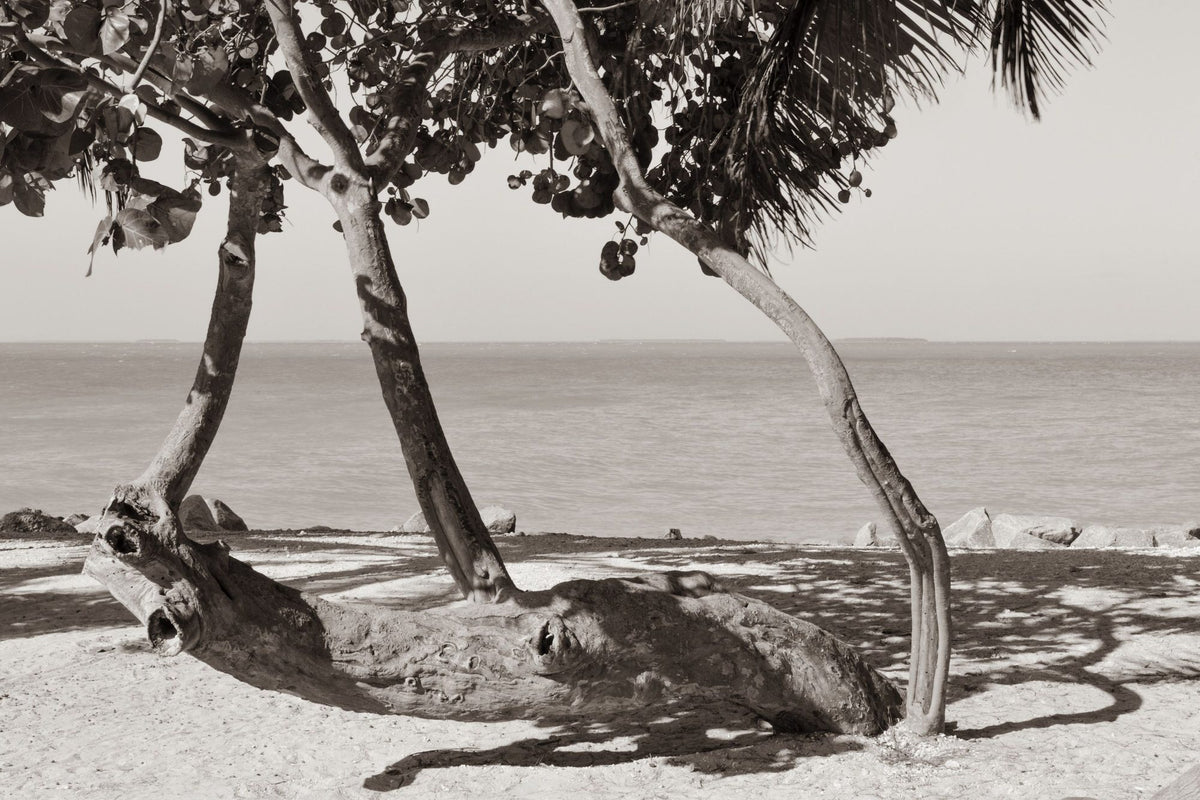 Fort Zachary Beach II BW Mural Wallpaper - pure wallpaper artwork