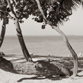 Fort Zachary Beach II BW Mural Wallpaper - pure wallpaper artwork