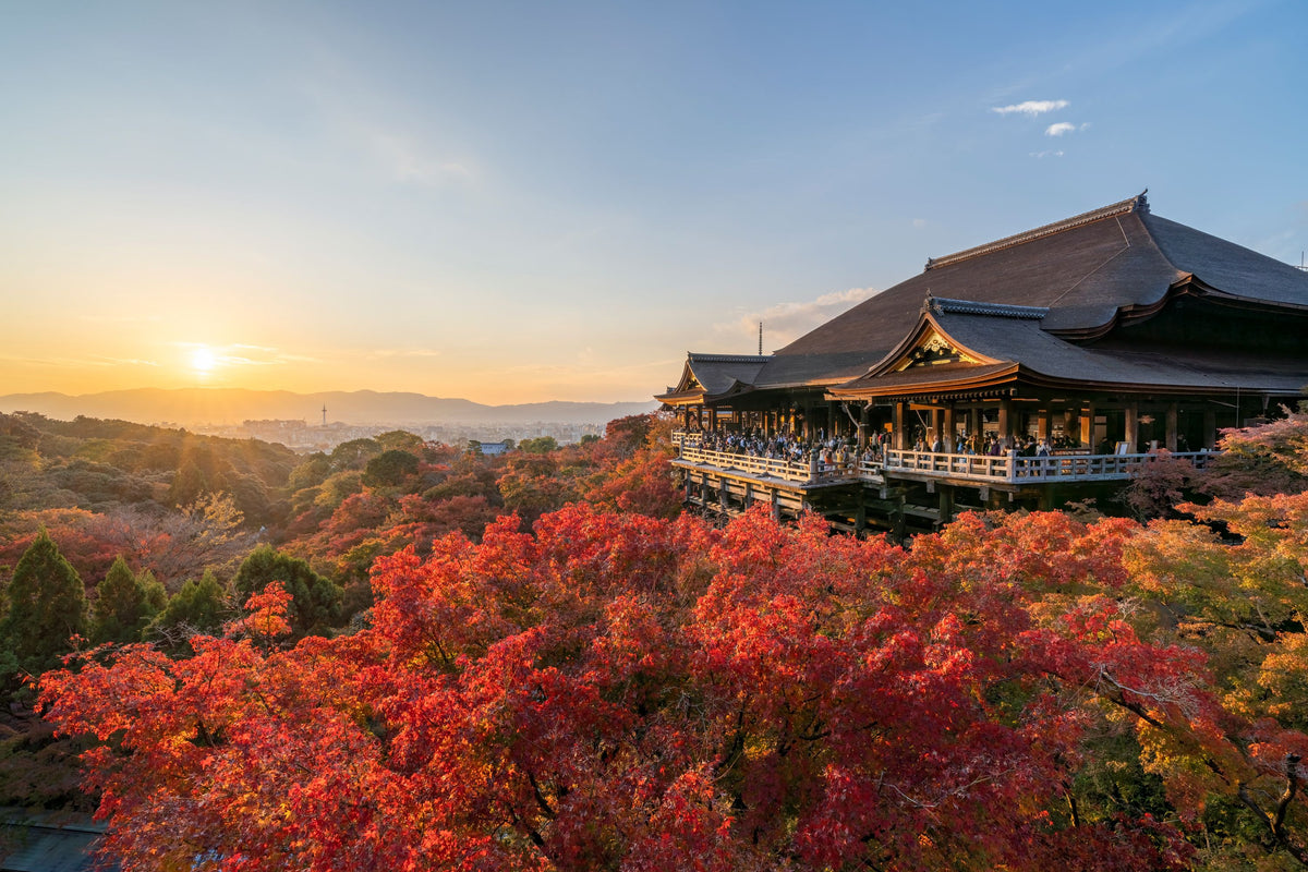 Kiyomizu-dera Temple Mural Wallpaper - pure wallpaper artwork