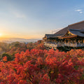 Kiyomizu-dera Temple Mural Wallpaper - pure wallpaper artwork