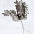 Sepia Tulip III Mural Wallpaper - pure wallpaper artwork