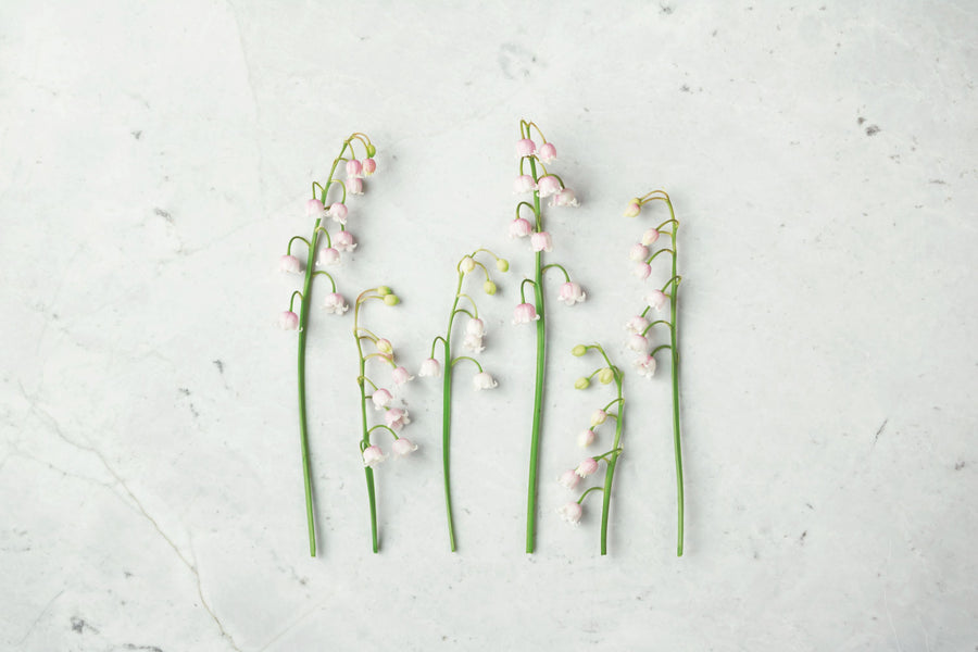 May Bell Blooms Mural Wallpaper
