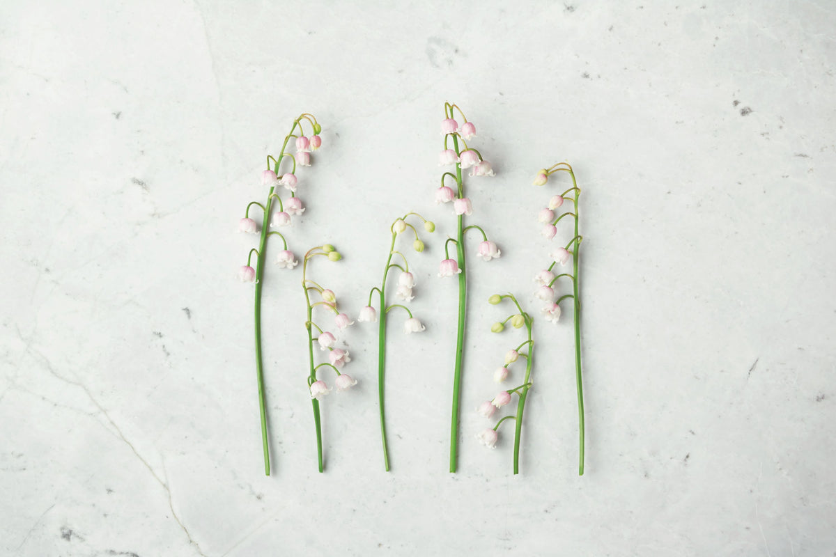 May Bell Blooms Mural Wallpaper - pure wallpaper artwork