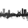 Tirana Skyline Black & White Mural Wallpaper - pure wallpaper artwork