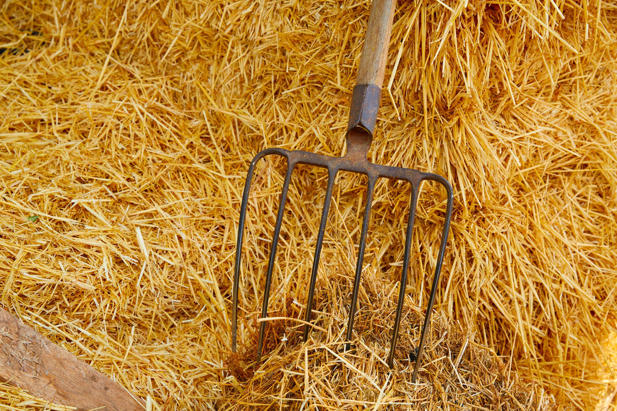 Harvest Pitchfork Mural Wallpaper - pure wallpaper artwork