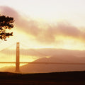Golden Sunset Bridge Mural Wallpaper - pure wallpaper artwork