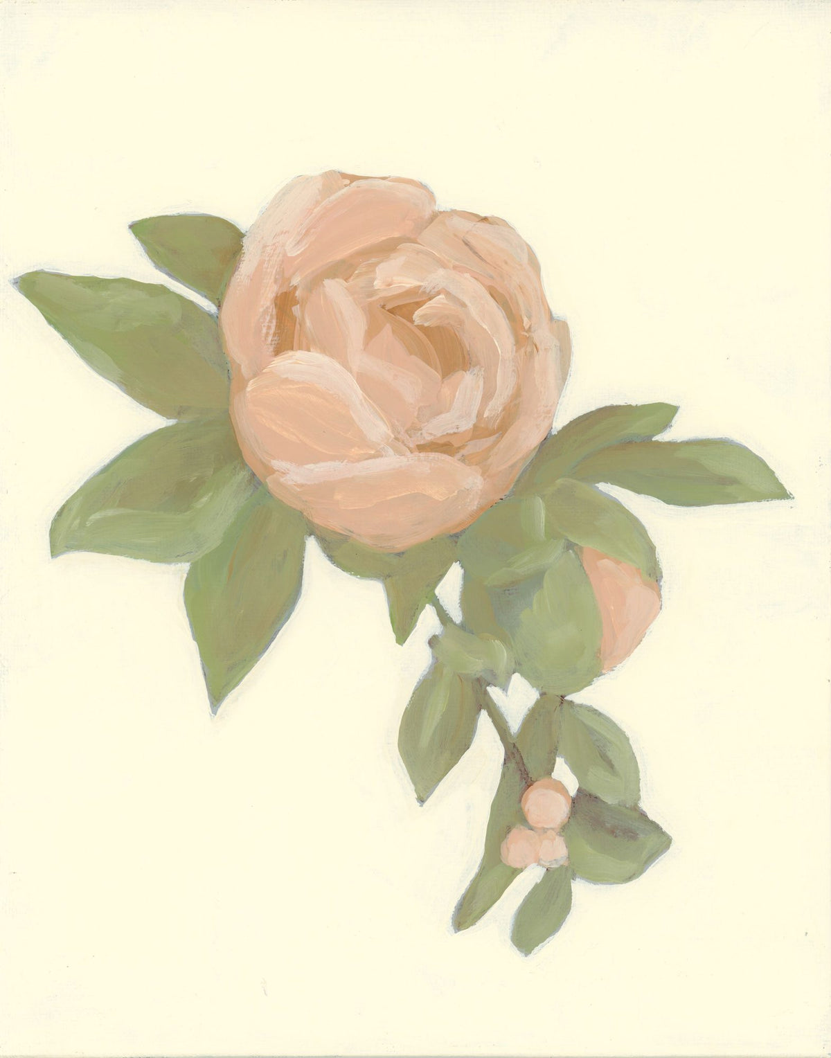 Sweet Peony Mural Wallpaper - pure wallpaper artwork