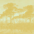 Mediterranean Pine Landscape, Citrus Mural Wallpaper - pure wallpaper artwork