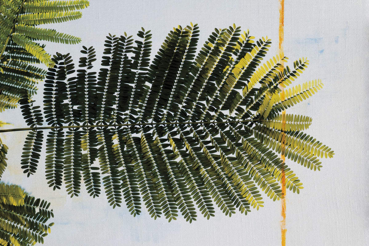 Single Palm Mural Wallpaper - pure wallpaper artwork