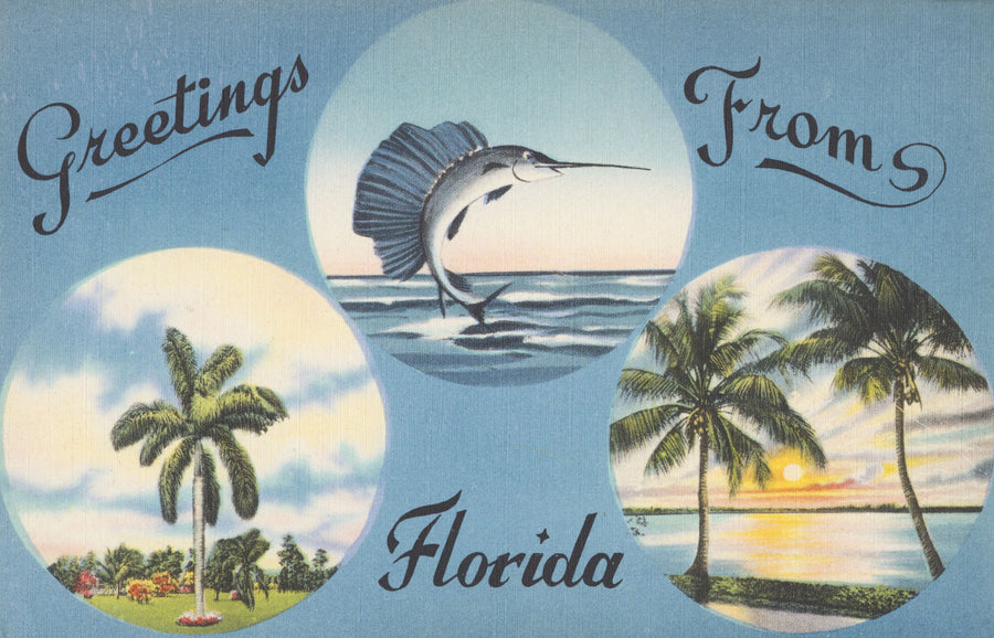 Greetings From Florida Wildlife Mural Wallpaper