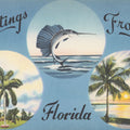 Greetings From Florida Wildlife Mural Wallpaper - pure wallpaper artwork