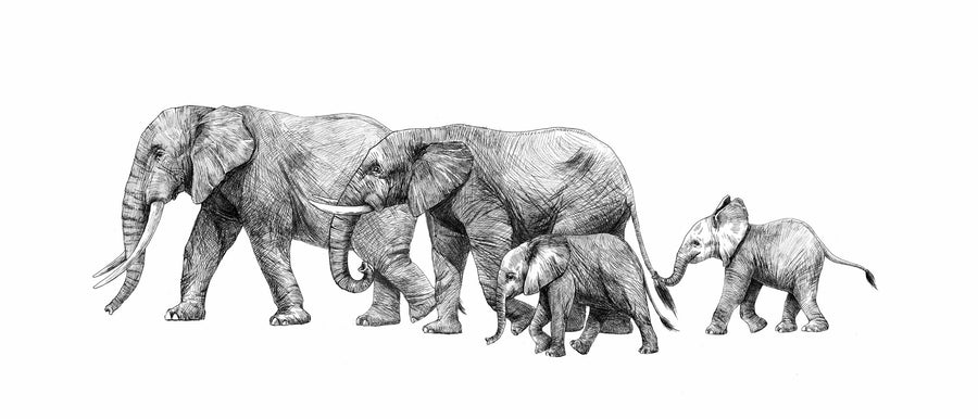 Safari Elephants Illustration Mural Wallpaper