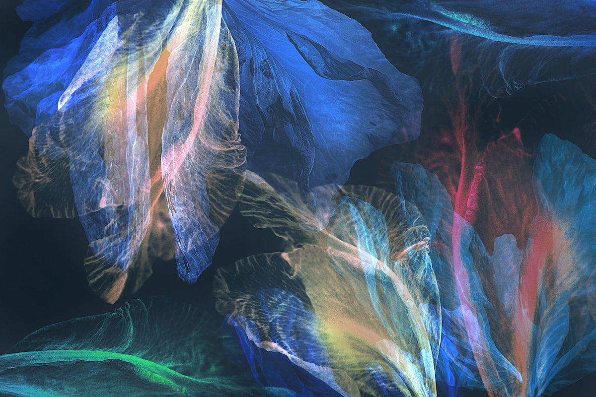 Ocean Garden Mural Wallpaper - pure wallpaper artwork