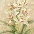 Dreamy Orchids III Mural Wallpaper - pure wallpaper artwork