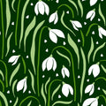 Snowdrops in Spring Mural Wallpaper - pure wallpaper artwork