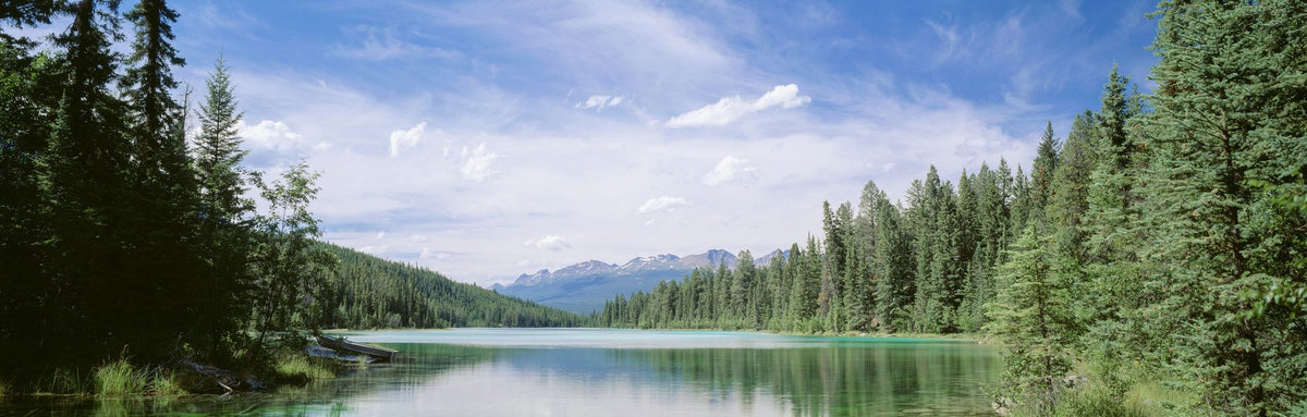 Mountain Mirror Lake Mural Wallpaper - Neutral Tone - pure wallpaper artwork
