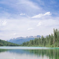 Mountain Mirror Lake Mural Wallpaper - Neutral Tone - pure wallpaper artwork