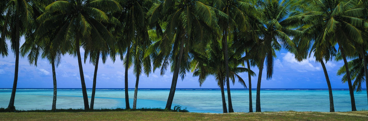 Palm Panorama I Mural Wallpaper - pure wallpaper artwork