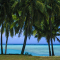 Palm Panorama I Mural Wallpaper - pure wallpaper artwork