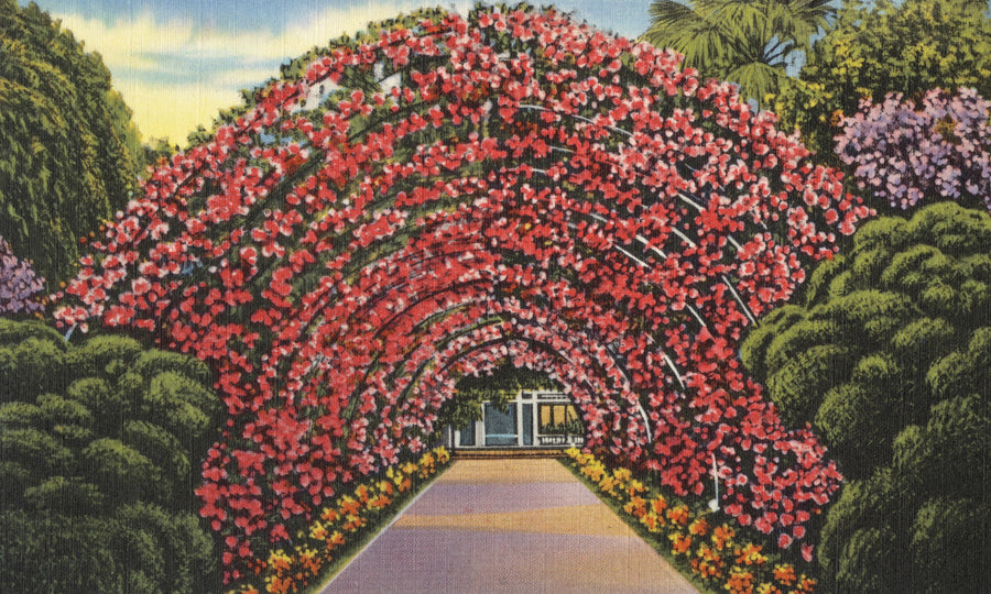 Rose Arbor Mural Wallpaper