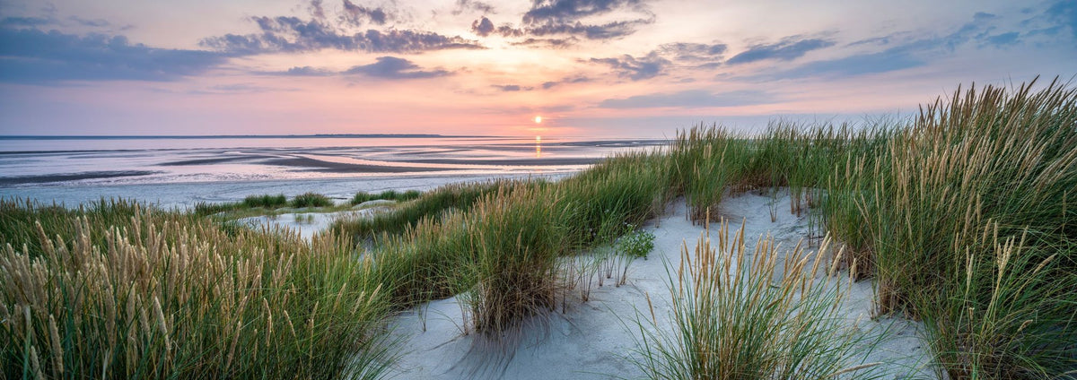 Beach Grass Sunset Mural Wallpaper - pure wallpaper artwork