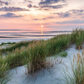 Beach Grass Sunset Mural Wallpaper - pure wallpaper artwork