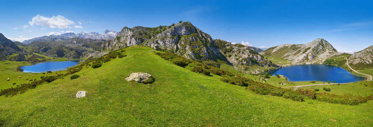 Alpine Valley Pasture Mural Wallpaper - pure wallpaper artwork