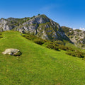 Alpine Valley Pasture Mural Wallpaper - pure wallpaper artwork