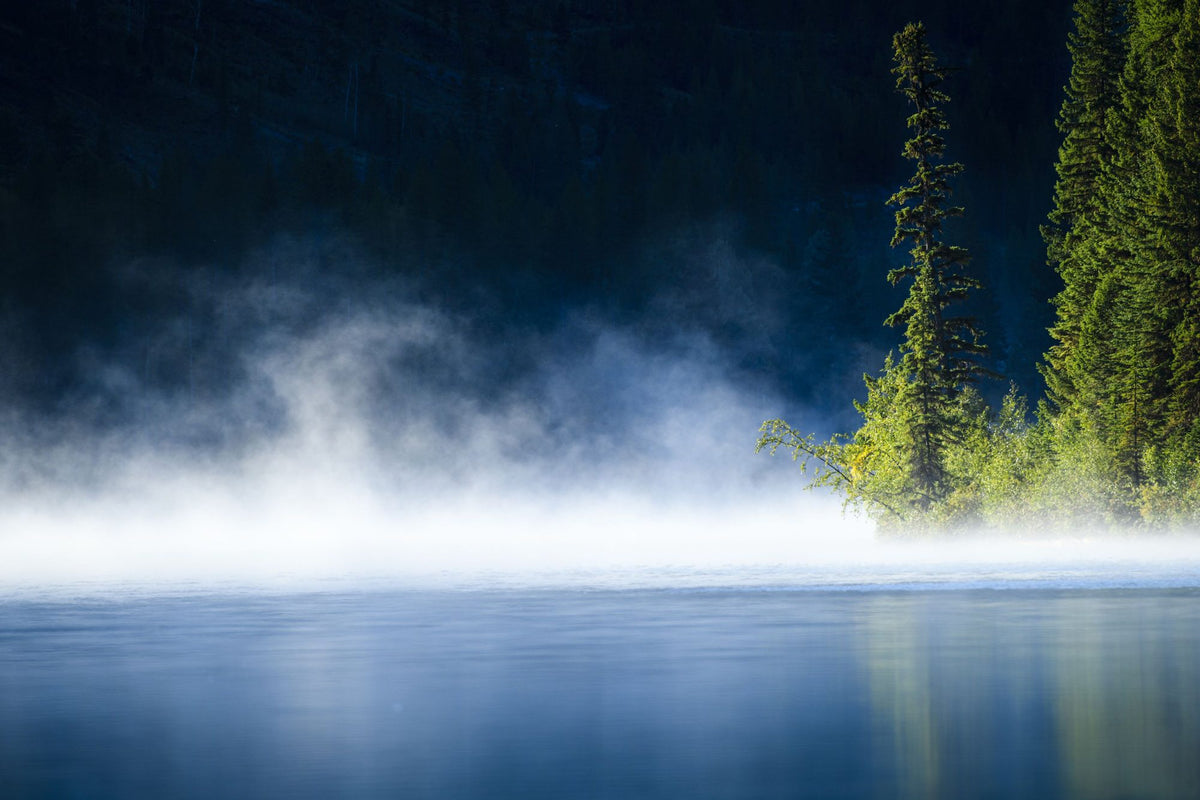 Lakeshore Fog Mural Wallpaper - pure wallpaper artwork