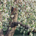 Blossom Cascade Mural Wallpaper - pure wallpaper artwork