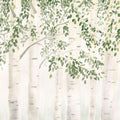 Fresh Forest Green Mural Wallpaper - pure wallpaper artwork