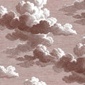 Intaglio Clouds, Chocolate Mural Wallpaper - pure wallpaper artwork