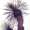 Palm Mural Wallpaper - pure wallpaper artwork