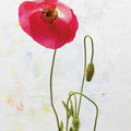Wonderful Wildflowers I Mural Wallpaper - pure wallpaper artwork