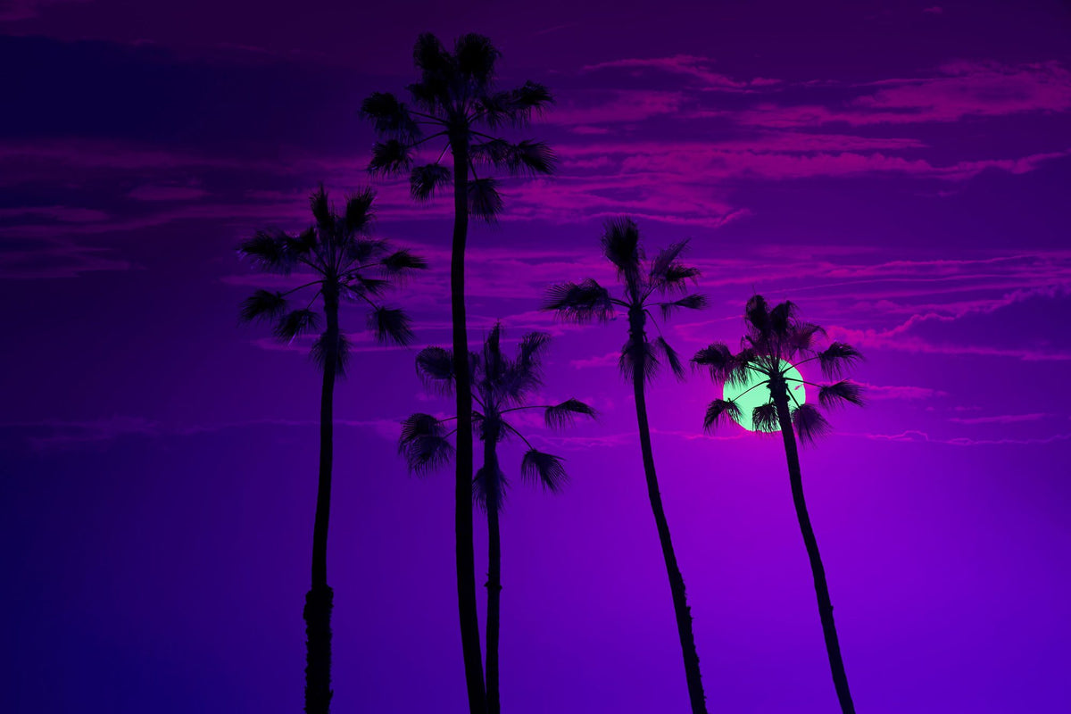 Manhattan Beach Sunset Mural Wallpaper - pure wallpaper artwork