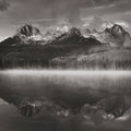 Little Redfish Mist Mural Wallpaper - pure wallpaper artwork