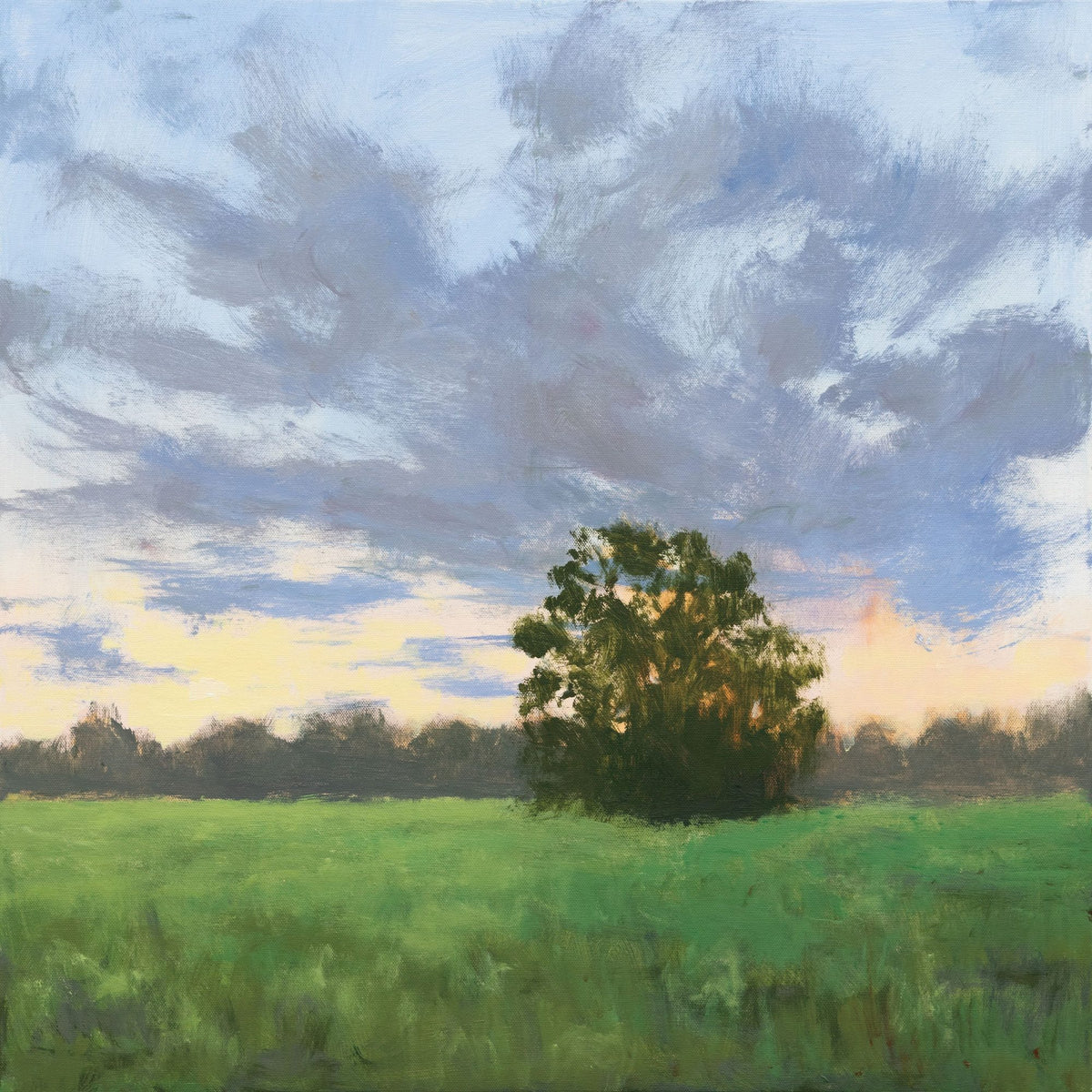 Tree At Sunset Mural Wallpaper - pure wallpaper artwork