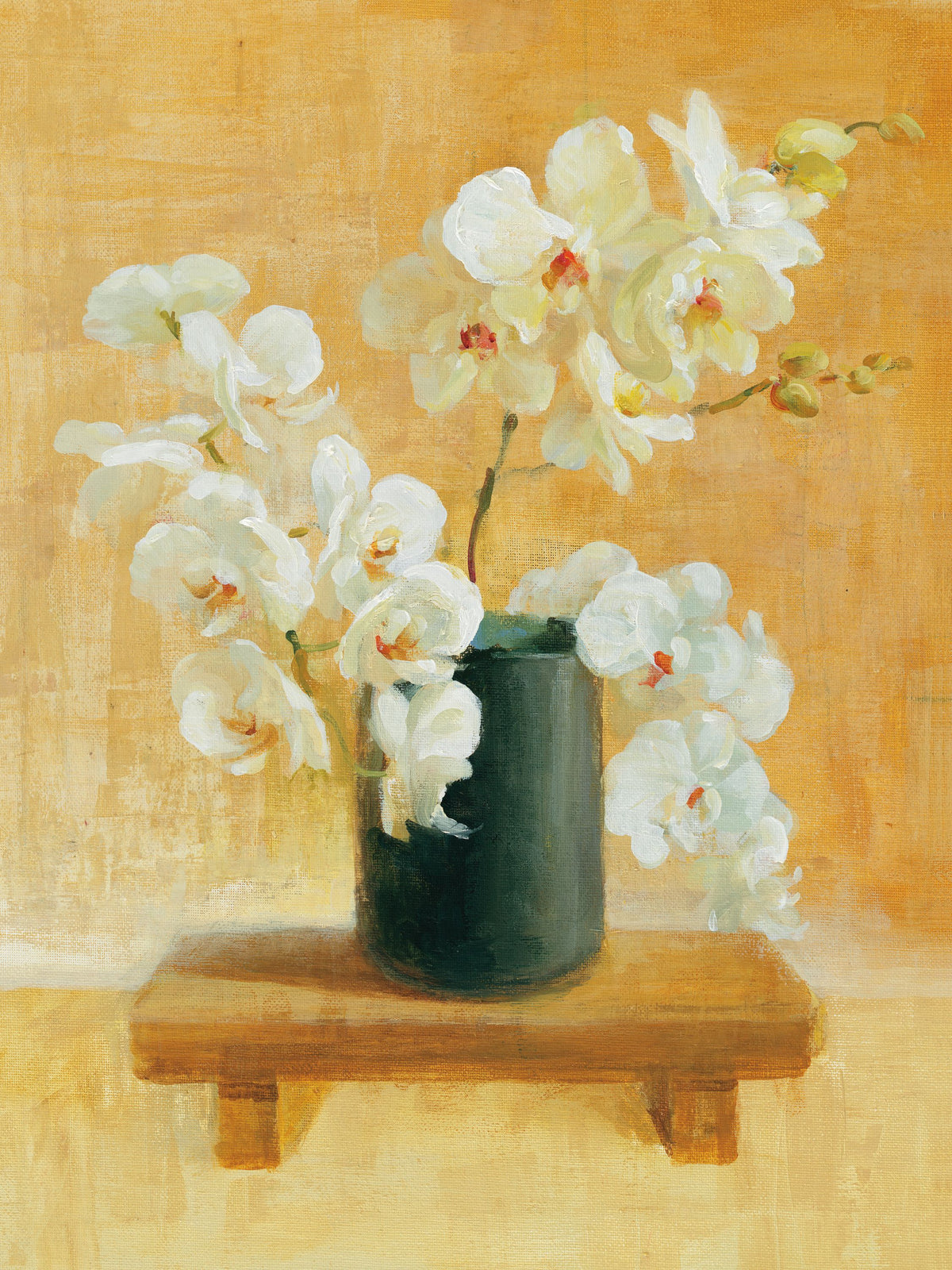 White Orchids in Black Vase Mural Wallpaper - pure wallpaper artwork