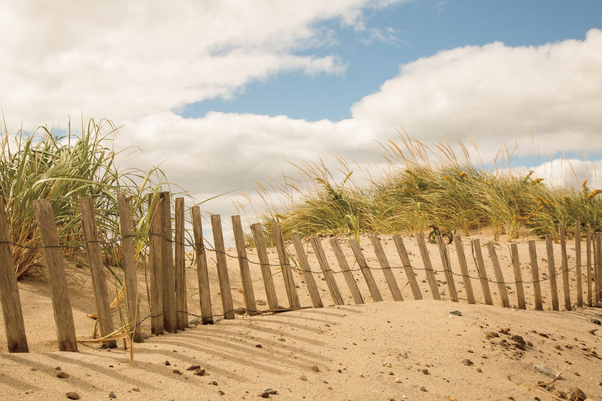 Beach Dunes I Mural Wallpaper - pure wallpaper artwork