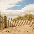 Beach Dunes I Mural Wallpaper - pure wallpaper artwork