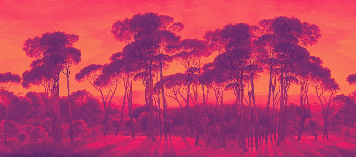 Mediterranean Pine Landscape, Sunset Mural Wallpaper - pure wallpaper artwork
