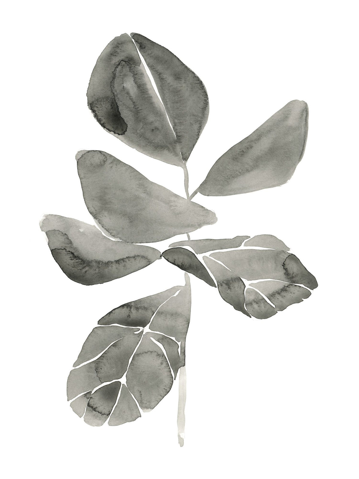 Fiddle Leaf I Mural Wallpaper - pure wallpaper artwork
