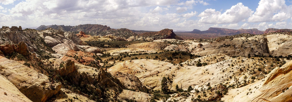 Desert Canyon Majesty Mural Wallpaper - pure wallpaper artwork