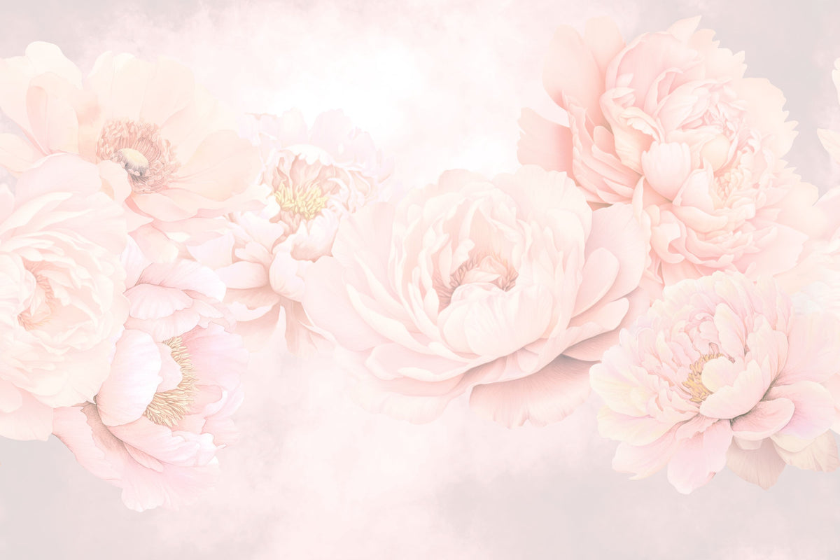 Transcendent Peony, Blush Pink Mural Wallpaper - pure wallpaper artwork